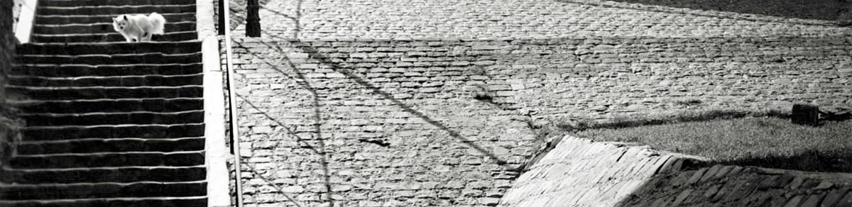 He Who Photographed Dykedom