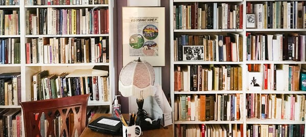 (Data) Visualizing the Lesbian Herstory Archives