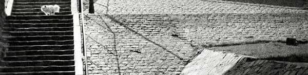 He Who Photographed Dykedom